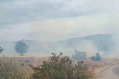 Bolu’da arazi yangını ormanlık alana ulaşmadan söndürüldü
