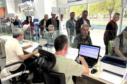 Kocaeli’de çiftçilere yüzde 50 hibeli yem bitkisi tohumu desteği
