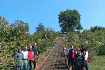 Kumluca’da Salep dikimi gerçekleştirildi
