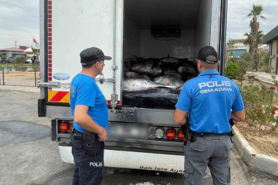 İzmir’de kaçak avlanan 3 ton mavi yüzgeçli orkinos ele geçirildi
