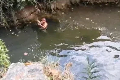 Derede mahsur kalan kaplumbağayı yüzerek kurtardı
