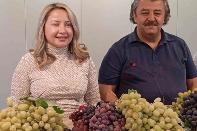 Avşar üzümü tescillendi
