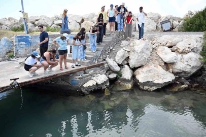 Mersin’de biyolojik çeşitlilik MINKA ile kayıt altına alınıyor
