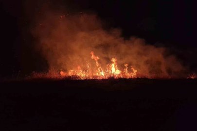 Adıyaman’da korkutan anız yangını
