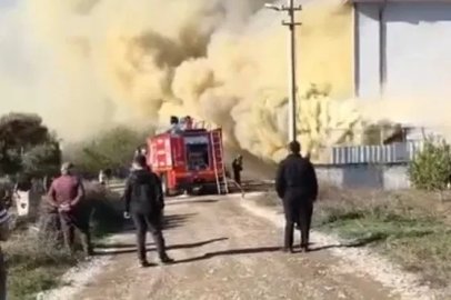 Mobilya dükkanındaki yangın paniğe neden oldu
