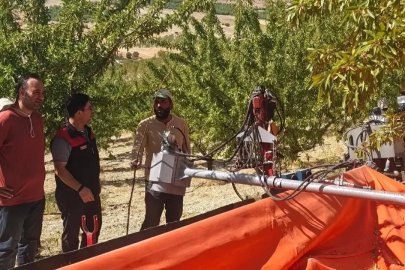 Ağın’daki badem üretim alanlarında inceleme
