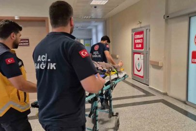 Üç tekerlekli motosiklet devrildi: 2 yaralı
