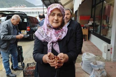 Dünyaca ünlü Erfelek kuzu kestanesi tezgahlarda
