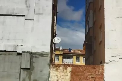Elazığ’da bir kadın, canını hiçe sayarak çatıya halı serdi
