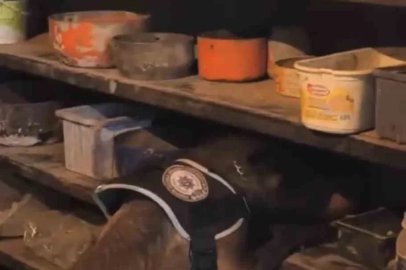 Bingöl’de uyuşturucu operasyonunda 1 tutuklama
