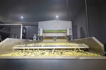 Vali Aktaş patates üretimi tesisini gezdi
