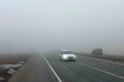 Bitlis’te yoğun sis etkili oldu
