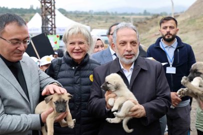 Hayvanları Koruma Günü, Talas Pati Evi Doğal Yaşam Alanı’nda kutlandı
