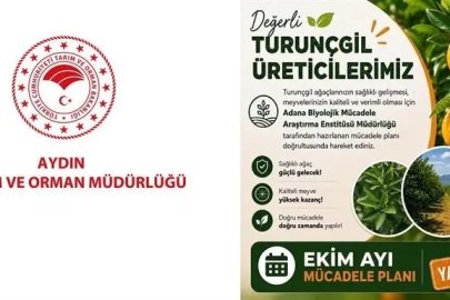 Aydın’da turunçgil bahçeleri için Ekim ayı mücadele planı açıklandı
