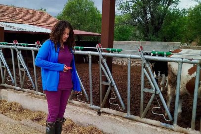 Evciler’de işletmelerin kapasite ve üretim şartları incelendi
