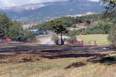 Anız yangını ormana sıçradı, köylülerin erken müdahalesi facianın önüne geçti
