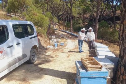 Bozdoğan’da arılı kovan desteği için sahada tespit çalışması
