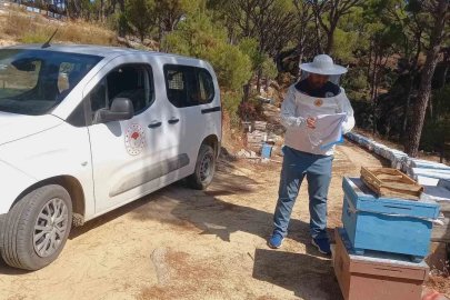 Bozdoğan’da arıcılara yönelik destek çalışmaları sürüyor
