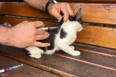 Hayvan dostu GKV’li öğrencilerden örnek davranış
