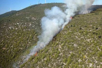 Bodrum’da orman yangını çıktı
