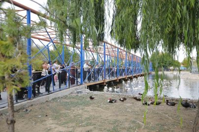 Ücretsiz hayvanat bahçesi uygulamasına yoğun ilgi
