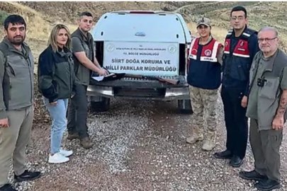 Siirt’te kaçak avcılığa geçit verilmiyor

