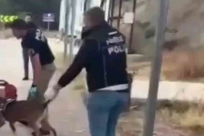 Sinop uyuşturucu operasyonu: 3 tutuklama
