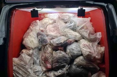 Diyarbakır’da menşei belirsiz 820 kilo hayvansal iç yağ ve sakatat ele geçirildi
