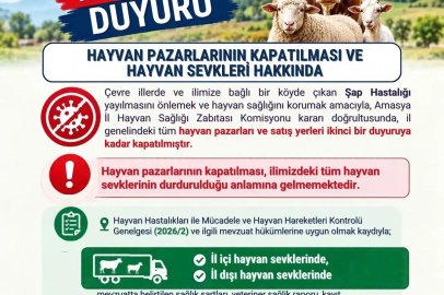 Amasya’da şap hastalığı tedbiri: Hayvan pazarları kapatıldı
