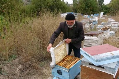 Yozgat’ta ezber bozan hasat: İlaçsız arıcılığın şifresi kenevirde bulundu
