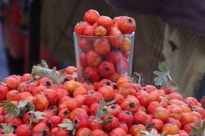 Van dağlarının doğal şifa kaynağı alıç, tezgahlardaki yerini aldı
