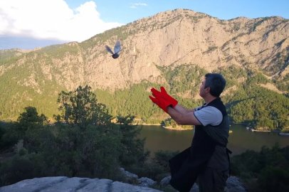 Şuhut’ta üretilen 200 çil keklik Burdur’da doğaya salındı
