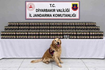 Diyarbakır’da kaçakçılık operasyonlarında 29 şüpheli hakkında işlem yapıldı

