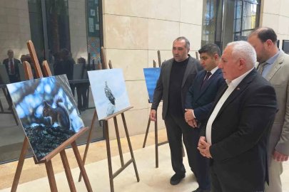 Kütahya’nın yaban hayatı fotoğraflarla gözler önüne seriliyor
