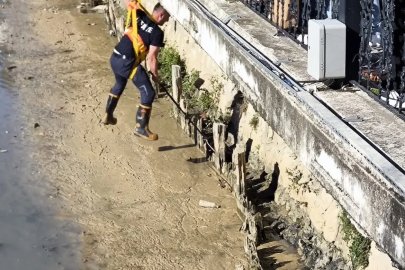 Yalova’da itfaiye ekipleri derede mahsur kalan iki kediyi kurtardı
