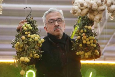 İki yılda bir yetişiyor, bu meyve sipariş üzerine satılıyor
