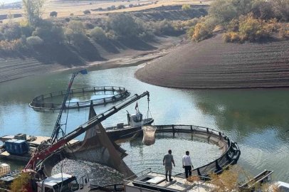 Tercan Baraj Gölü’nde su ürünleri üretimi büyüyor
