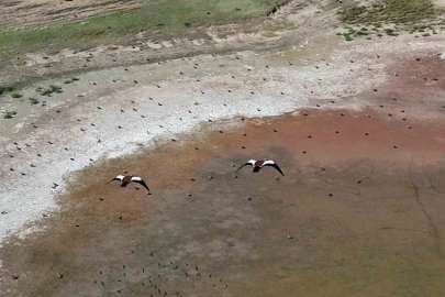 Yozgat’ta yüzlerce angut kuşunun gölet üzerindeki uçuşu dronla görüntülendi
