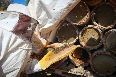 Malatya’da 60 yıllık gelenek toprak kovanlarda yaşatılıyor
