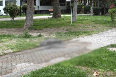 Alkol içerken çıkan tartışma cinayetle bitti
