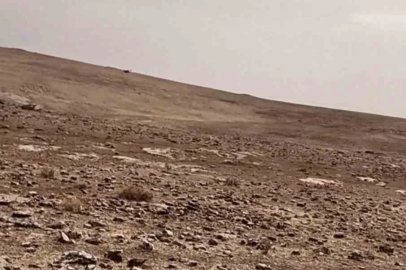 Mardin’de yasa dışı keklik avına 129 bin 429 lira ceza
