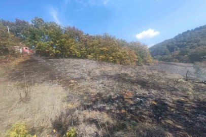 Bolu’da ot yangını büyümeden söndürüldü
