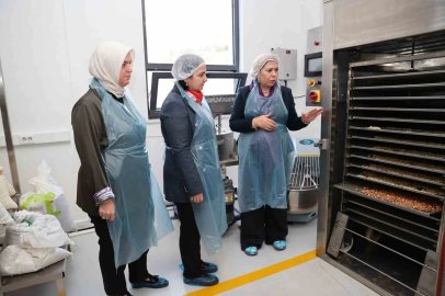 Kadın girişimciden tirmis bazlı fonksiyonel gıda üretimi
