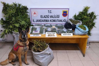Elazığ’da uyuşturucu operasyonu: 3 tutuklama
