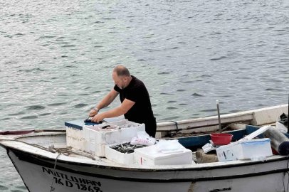 Denizden direkt sofraya balık
