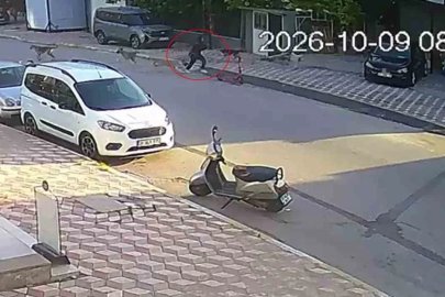Okul yolunda sokak köpeklerinin saldırısına uğrayan kız çocuğu yaralandı
