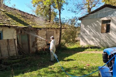 Düzce’de kahverengi kokarcaya karşı kışlak mücadelesi başladı
