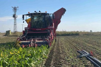 Alpu Kaymakamı Sönmezel şeker pancarı hasadına katıldı
