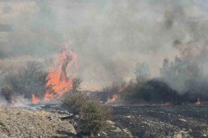 Domaniç’te yangını kepçeler ve traktörler durdurdu
