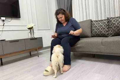Aydın’dan alınan köpek Mardinli ailenin kabusu oldu
